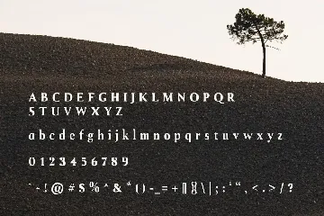 Fero Display Font