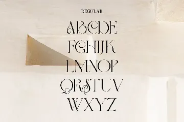 Claresta | Modern Stylish font