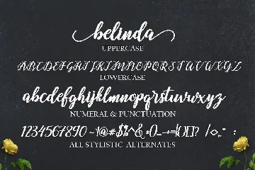 Belinda Script Font