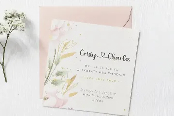 Charlize font