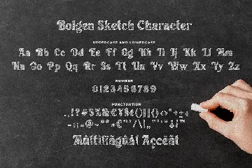 Bolgen Handlettering Serif Font