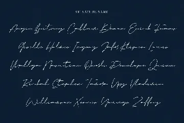 Jarvitts Signature font