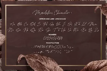 Mondeline a Clean Signature Font