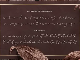 Mondeline a Clean Signature Font