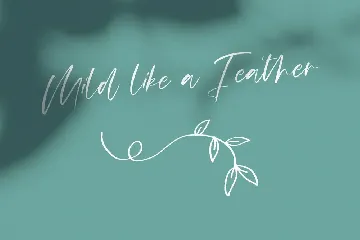 Mildlight Feminine Signature Font