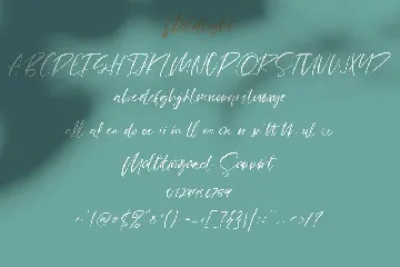 Mildlight Feminine Signature Font