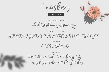 Niesha font