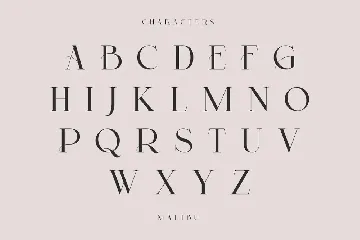 Malibu | Modern Stylish font