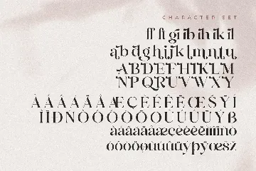 Andora Modern Font Duo