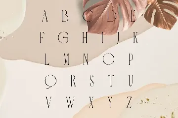 Carola | Modern Serif font