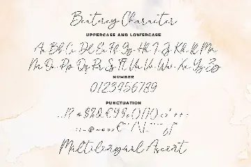 Beatney a Classy Signature Font