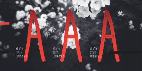 Aracne Condensed font