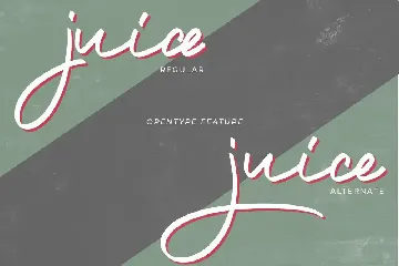 Potlar Signature Script Font