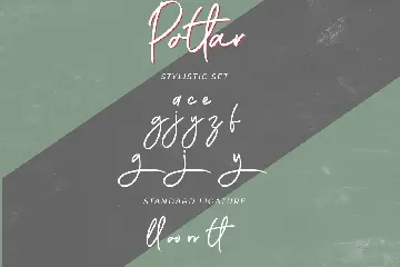 Potlar Signature Script Font