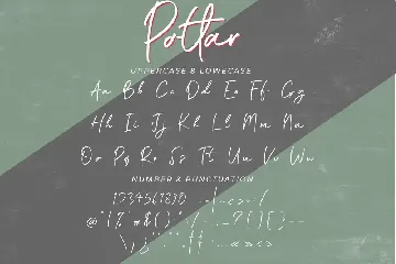 Potlar Signature Script Font