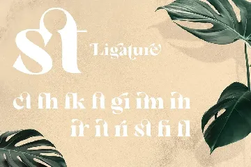 Margate | Modern Classic font