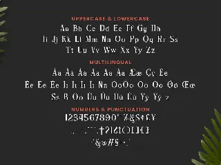 Reberry Font