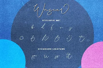 Wascer Modern Script Brush Font