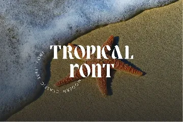 Lower Coast | Serif Display font