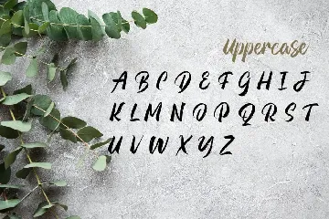 Modern Calligraphy Font