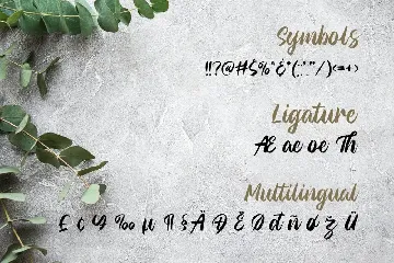 Modern Calligraphy Font