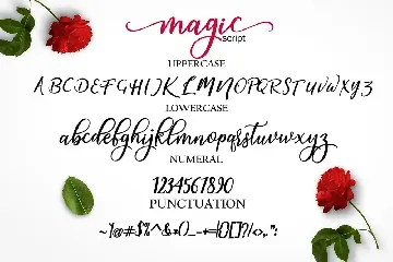 magic script font