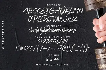 Amstrike font