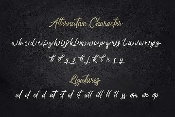 Rough Letterline Authentic Brush Font