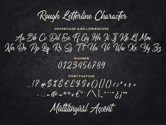 Rough Letterline Authentic Brush Font