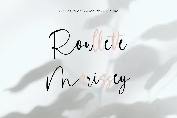 Asterikats Beauty Feminine Script Font