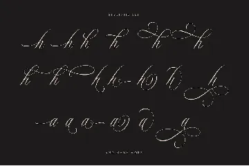 Rhapsody | Calligraphy Script font