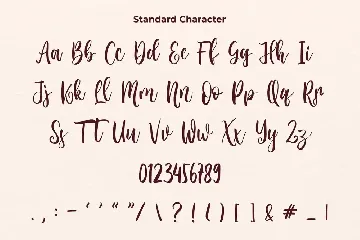 Renatta Victorina - Modern Script Font