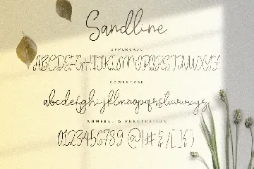 Sandline - The Beauty Script Font