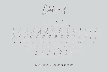 Dakmy Signature Brush Font