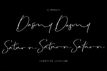 Dakmy Signature Brush Font