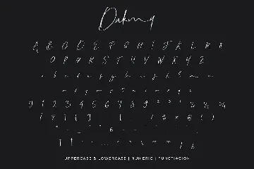 Dakmy Signature Brush Font