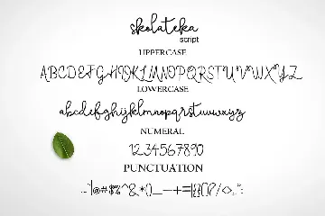 skolateka  handwritten typeface font