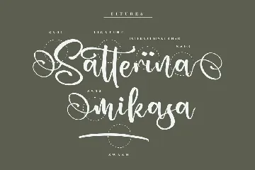 Ladytop Modern Script Font