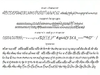 Austy font