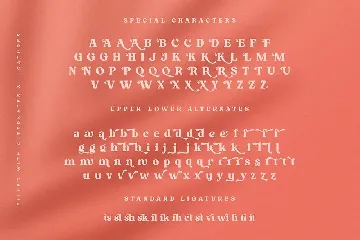 Kindest Reality | A Nostalgic Serif font