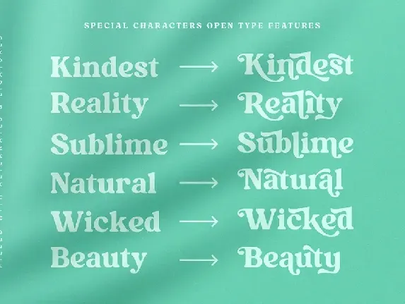 Kindest Reality | A Nostalgic Serif font