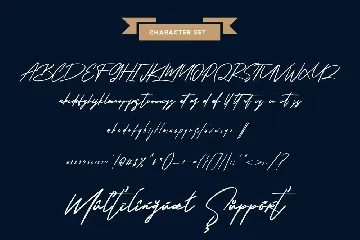 Shoterns Signature Brush Font