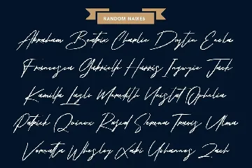 Shoterns Signature Brush Font