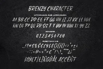 Brenzy - Wild Brush Font