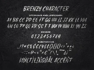 Brenzy - Wild Brush Font