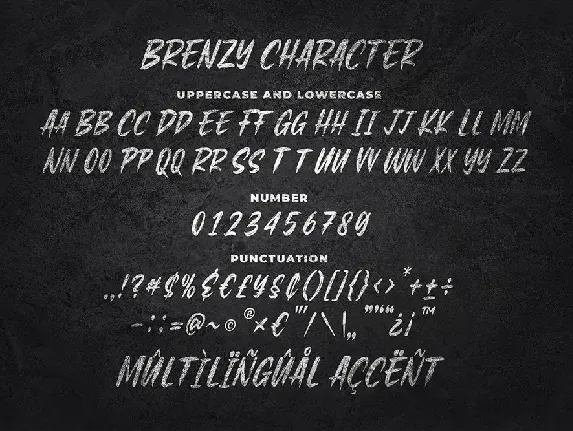 Brenzy - Wild Brush Font