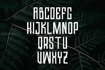 Valkrye | Modern Font