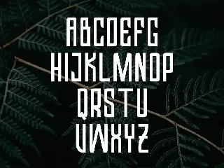 Valkrye | Modern Font