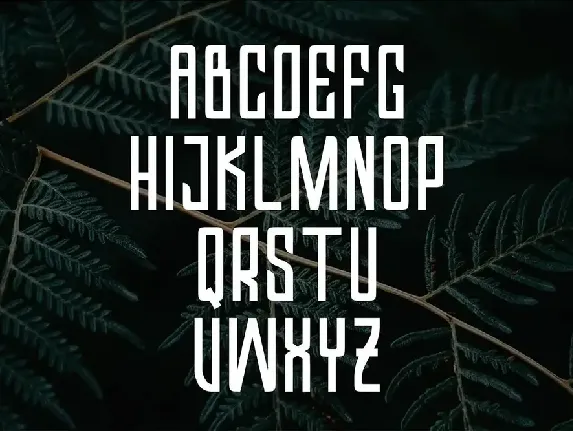 Valkrye | Modern Font