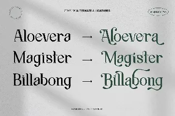 Arctiflow - Modern Serif font